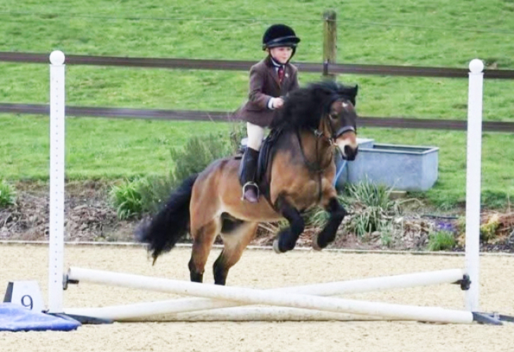 THE DO IT ALL DARTMOOR