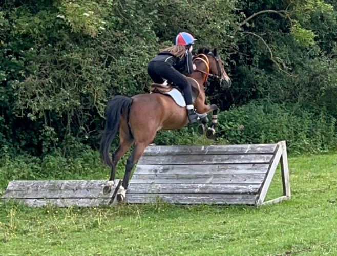 128 all rounder with great introduction to pony racing