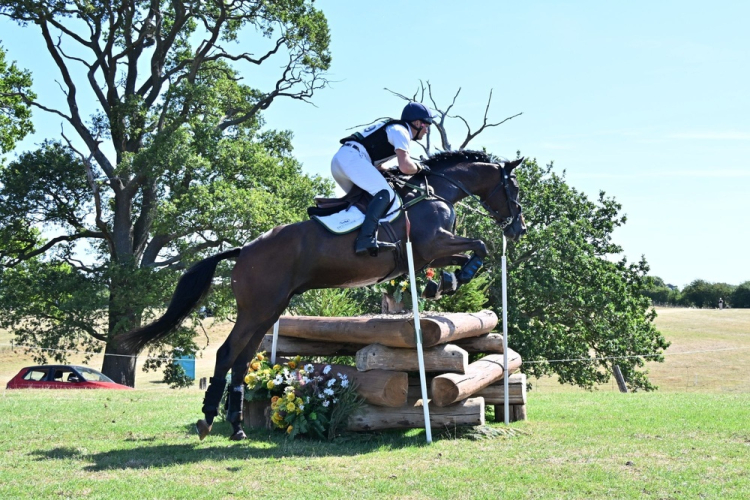 Super Grassroots Horse
