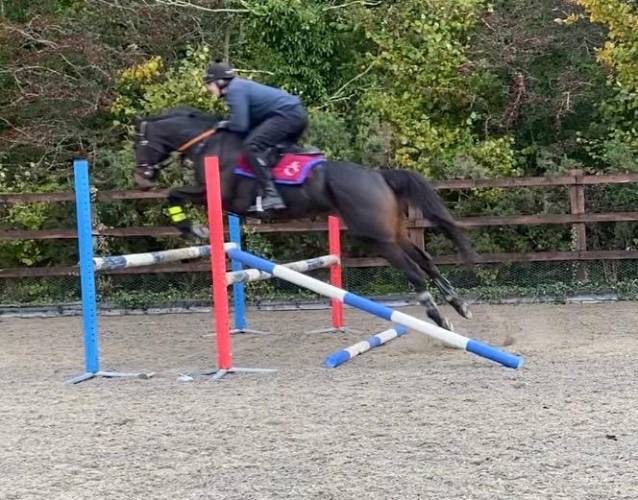 Potential Hunter/Allrounder