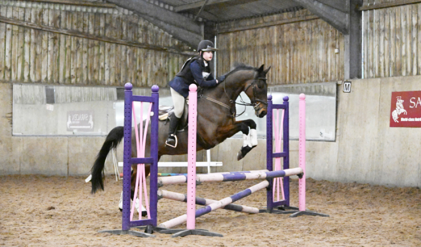 16.1hh Thoroughbred Gelding- A truly special boy