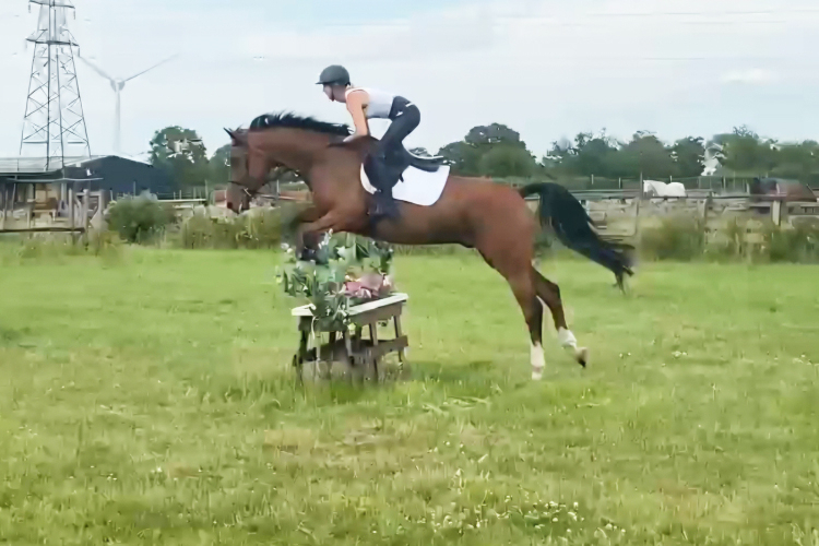 Quality Allrounder/ Event prospect