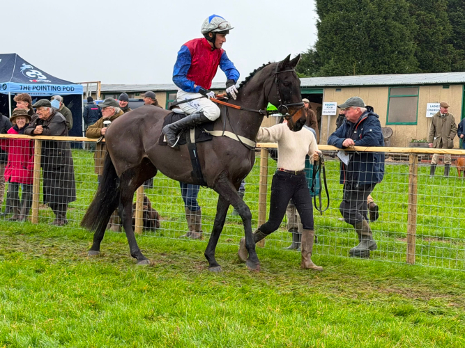 Potential Hunter/Allrounder