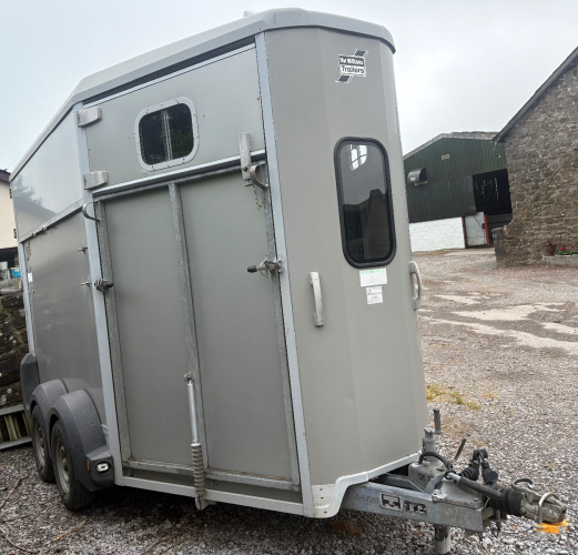 Immaculate HB511