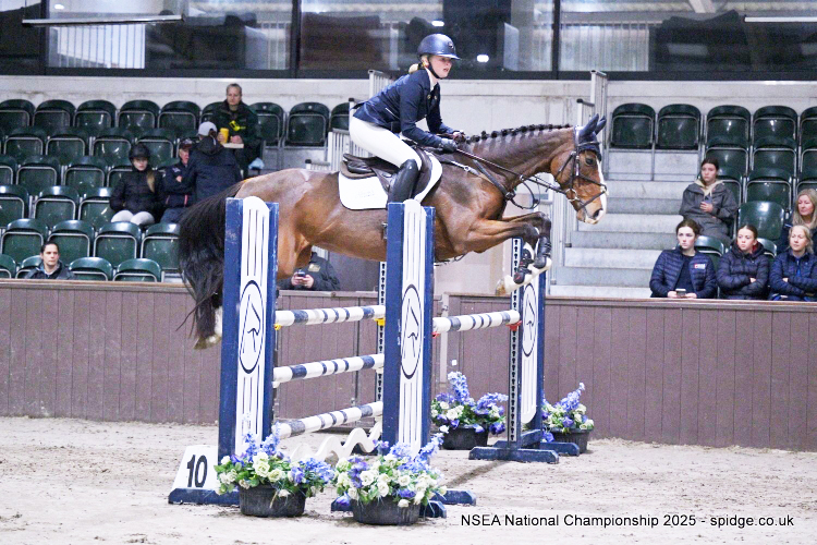 Potential 2* eventer