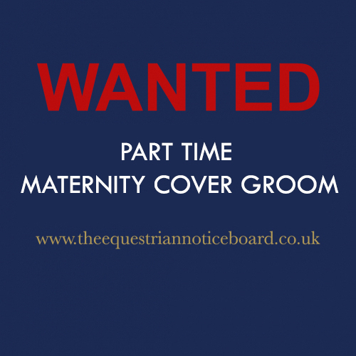 Maternity Cover Part Time Groom
