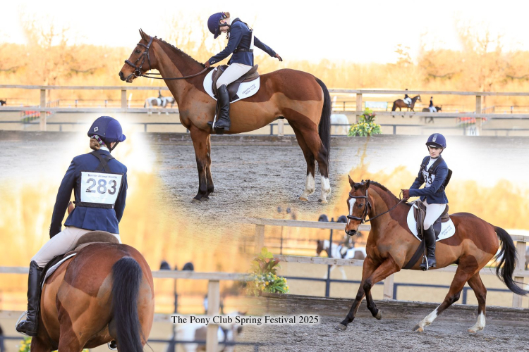 All Rounder TB For Loan