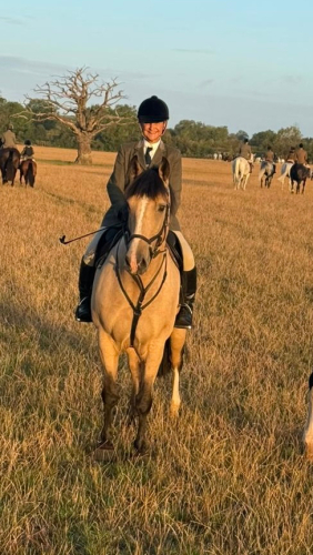16 hh 9yrs Gorgeous Dun Mare