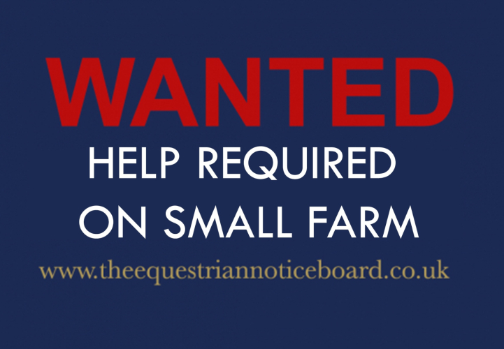 Vacancy - Help required on small farm - Daventry, Northamptonshire