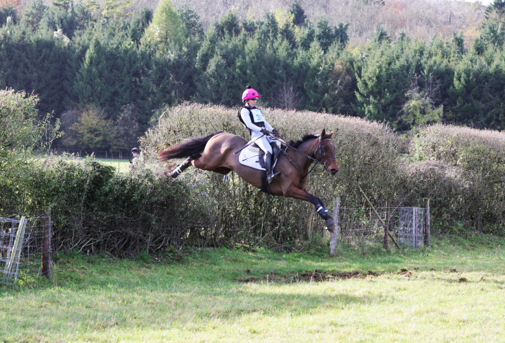 Quality Ladies Hunter/ Team Chaser/Eventer