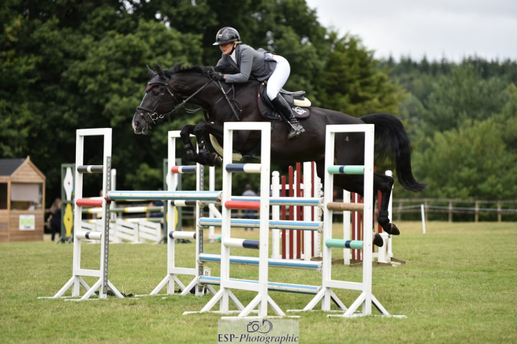 Stand out from the crowed with this mare