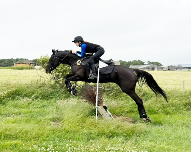 Hack, hunt and XC Dream