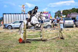 PC allrounder/hunter/jumper