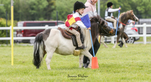Tots Dream pony 