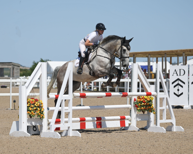 Badminton Grassroots Contender