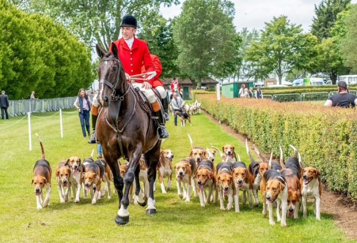The Brocklesby Hunt – Groom