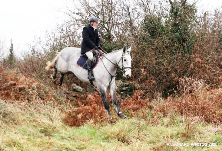 16.2hh RID ×Killinick Bouncer