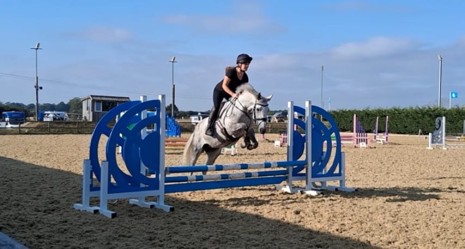 6yo Connemara x TB with lots of potential