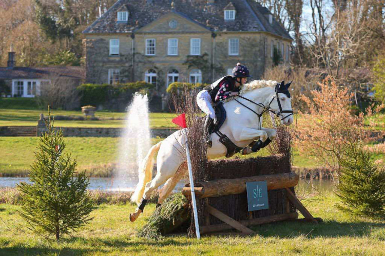 Commemara Competition Pony 148cm 8yo