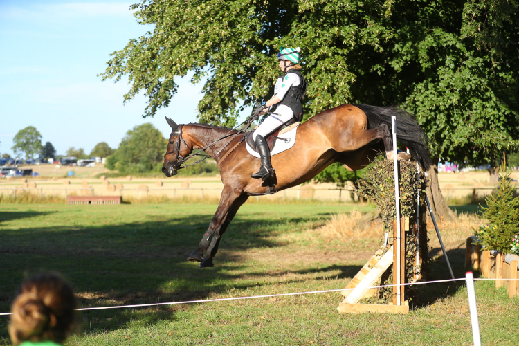 Striking Allrounder/Eventer