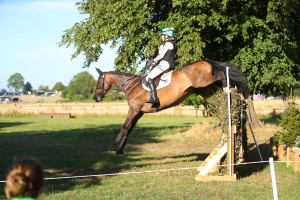 Striking Allrounder/Eventer 