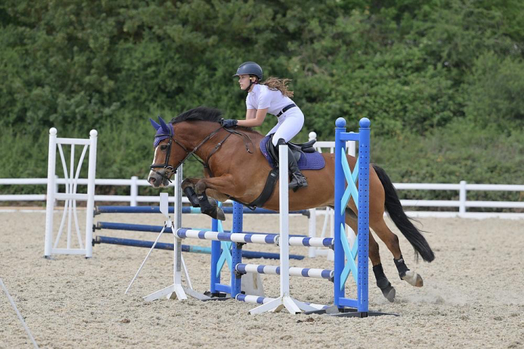 14.2, 15 yrs  gelding - Pony Club, Riding Club, NSEA Pony