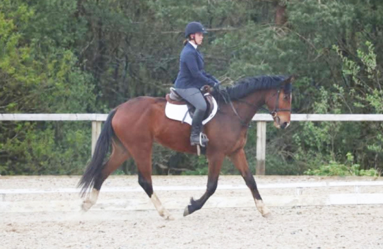 Smart all-rounder by HHS Cornet.