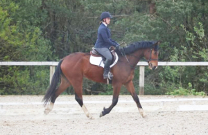 Smart all-rounder by HHS Cornet. 