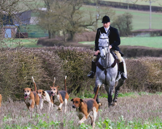 Full-Time Groom Wanted - North Northamptonshire