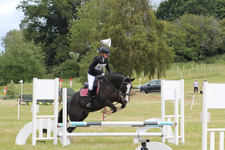 Super Cob Allrounder