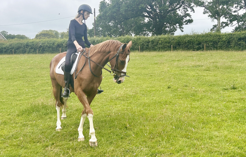 EYE CATCHING 14.3HH 5YR OLD BY FIGHT CLUB