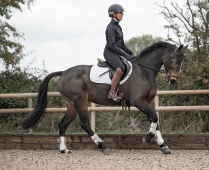 Talented event/Sj Connie mare 