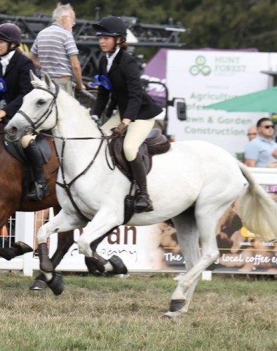 SUPERSTAR ALL ROUNDER/HUNTER CONNE X TB