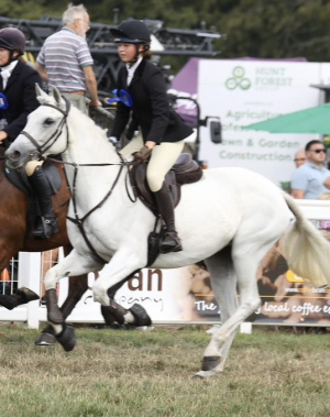 SUPERSTAR ALL ROUNDER/HUNTER CONNE X TB