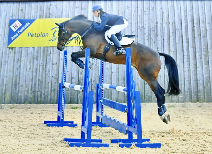 Serious future prospect Low mileage