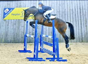 Serious future prospect Low mileage 