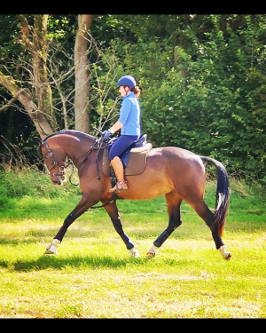 Serious future prospect Low mileage 