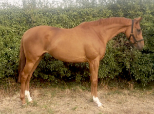 stunning ROR prospect 