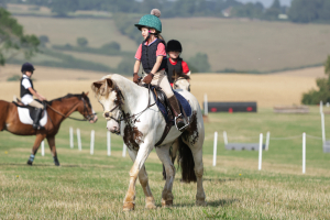13HH, 12YO COB MARE – MUCH-LOVED FAMILY ALL-ROUNDER