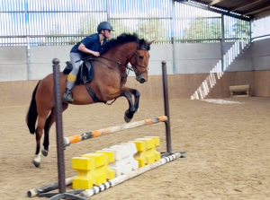 Fantastic SJ/Eventing prospect. 
