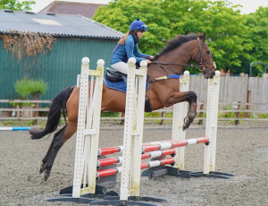Fun all rounder!