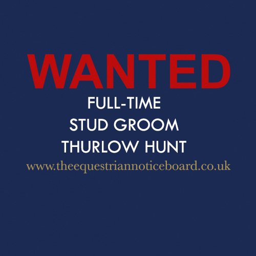 Full-Time Stud Groom – Thurlow Hunt, Suffolk