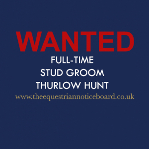 Full-Time Stud Groom – Thurlow Hunt, Suffolk