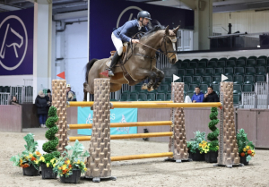 Stunning Showjumper By Camargo (Canturo) & out of a Lord Pezi mare,