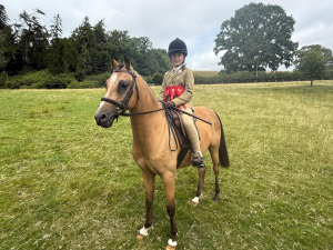 Stunning 13hh, Buckskin, Gelding, 9yo