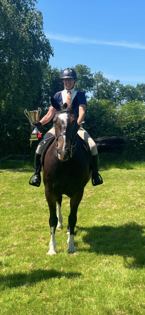 Super fun mare 