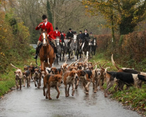 Whipper In - Kilkenny Foxhounds (Ireland)