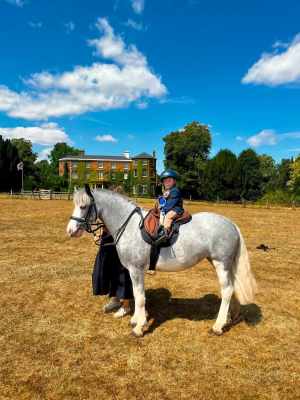 A true Life Barbie Pony