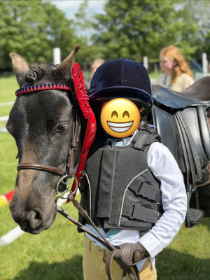 Gorgeous 11.2 Welsh Cross 
