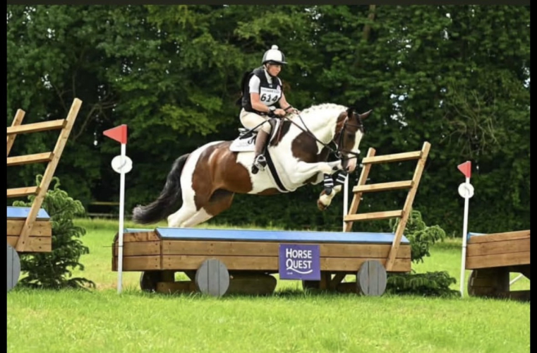 Exciting grassroots mare!